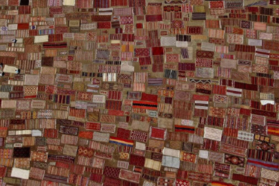 Buğday arazileri halı tarlasına dönüştü