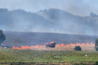Ormanlık alandaki alevler rüzgarın etkisiyle büyüyor