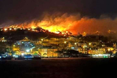 Ayvalık’ta çıkan yangın kontrol altına alındı