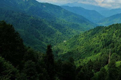 Gümüşhane’de ormanlara girişler yasaklandı