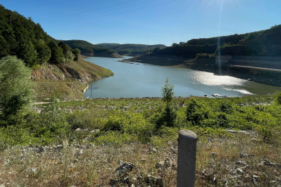 İstanbul'a su sağlayan barajlarda korkutan manzara