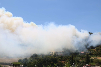 Hatay'da orman yangını