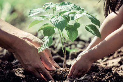 Yeşilova Holding  sürdürülebilirlik raporu  yayınlandı