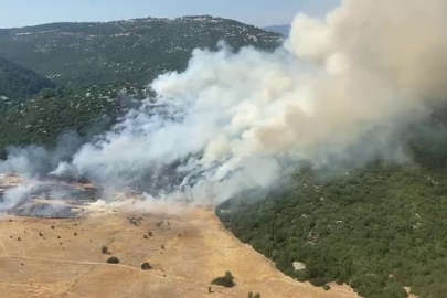 Antalya'da orman yangını