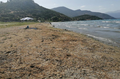 Eğirdir Gölü'nde tehlike çanları: 18 günde 18 santimetre azaldı