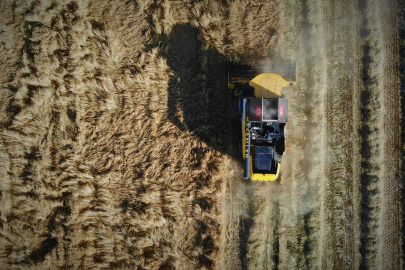 Konya Ovası'ndaki buğday hasadında 2 milyon 400 bin rekolte