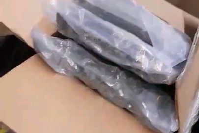 Türkiye'ye gelen TIR'da 145 kilogram esrar bulundu