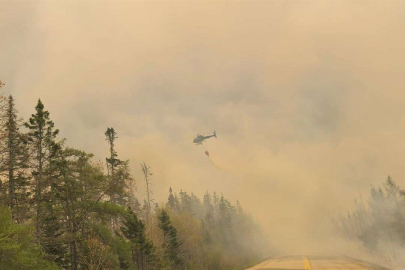 Kanada'da orman yangınları nedeniyle acil durum ilan edildi