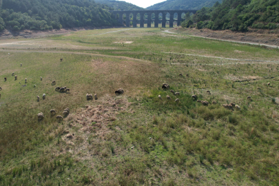 İstanbul’daki barajların su seviyesi yüzde 32.38 seviyelerine kadar geriledi
