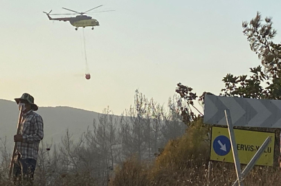 Karacabey'de orman yangını