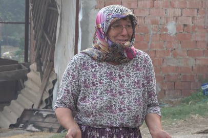 Çanakkale'deki yangında 30 yıllık emekleri küle döndü