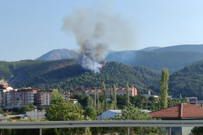 Manisa'daki orman yangını kontrol altına alındı