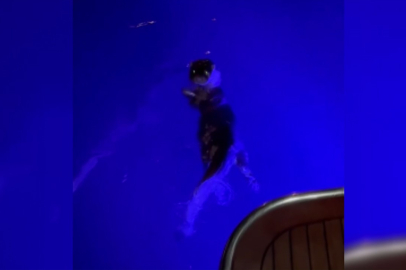 Sinop’ta su samuru görüntülendi