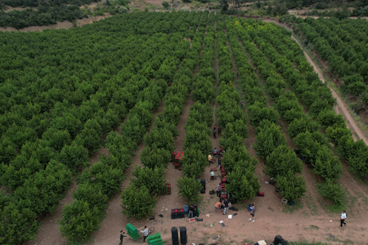 Coca-Cola Türkiye’den Bursa’da su geri kazanım projesi