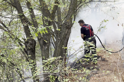Karabük’te ağaçlık alanda yangın