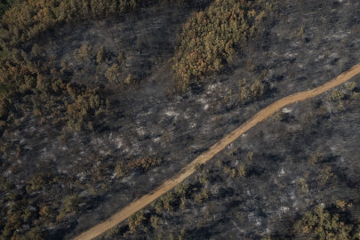 Yunanistan'da 81 bin hektar alan küle döndü!