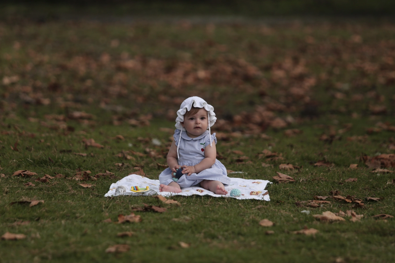Karacabey Longozu sonbaharda da büyülüyor