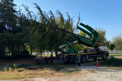 Bursa’da yeşil transferi sürüyor
