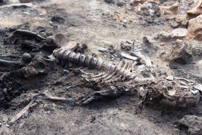 Tavşanlı Höyük kazılarında 3 bin 700 yıllık insan beyni ve deri kalıntıları çıktı
