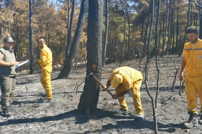 Bursa'da küle dönen bölge yeniden yeşerecek