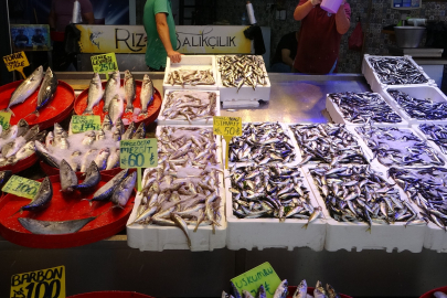 Karadeniz'de balık bereketi