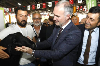 İnegöl 3. Küçükbaş Hayvancılık Festivali başlıyor