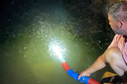 İznik Gölü’ne 2 milyon 200 bin sazan salındı