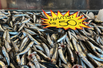 150 liraya kadar çıkan hamsi fiyatlarında düşüş