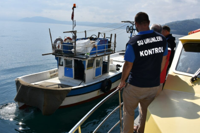 Yasa dışı su ürünleri avcılığına yönelik operasyon