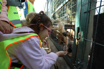 İnegöl’de 4 Ekim Hayvanları Koruma Günü’ne renkli kutlama