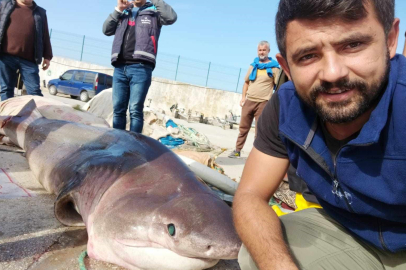 Bursa'da 1 tonluk köpekbalığı ile özçekim!