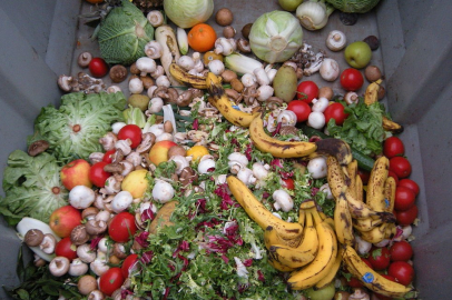 İsraf karnesi: Türkiye'de çöpe atılan ekmeklerle her yıl 500 okul yapılabilir