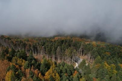 Uludağ'da görsel şölen