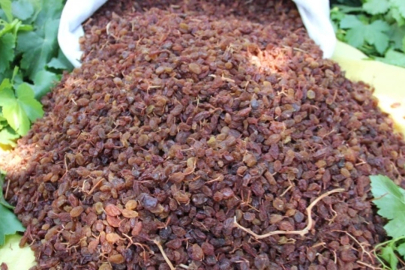 TARİŞ Üzüm Birliği kuru üzüm alım fiyatlarını açıkladı