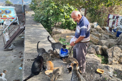 Kedilerin "dedesi" emekli maaşını "torunlarına" harcıyor