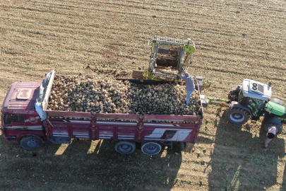 Dengesiz yağışlar, şeker pancarındaki verimi de düşürdü