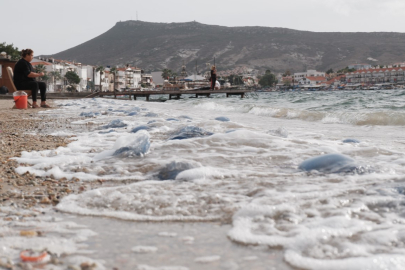 Foça sahillerinde korkutan manzara