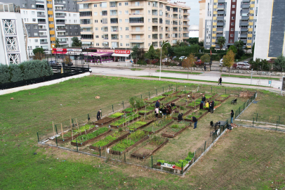 Tarımda ‘Mahalle’ seferberliği