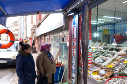 Dev balık ilgi çekti