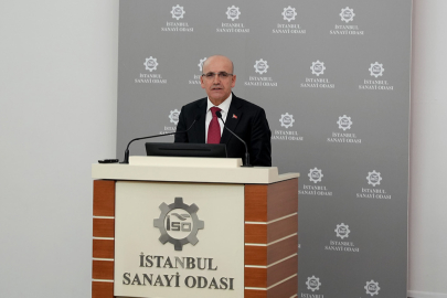 Şimşek: ”Ekonomi programımızın sonuçlarını alıyoruz”