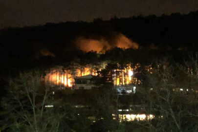 Uludağ eteklerinde çıkan yangın korkuttu