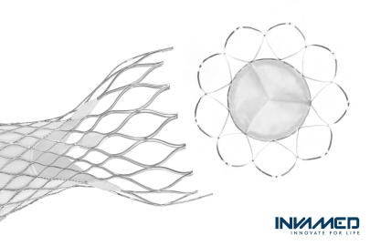 Türkiye kalp kapağı üretti