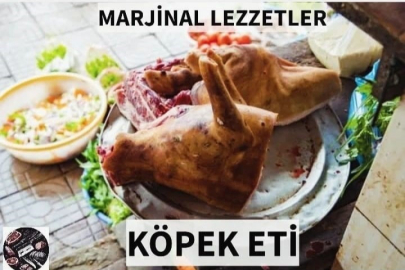 Köpek eti satışı iddiasında gerçek ortaya çıktı