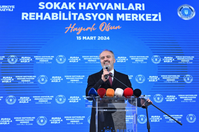 Can dostlara modern yeni yuva