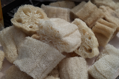 Selülit düşmanı kabak lifi hem mutfakta hem de kişisel bakımda kadınların gözdesi