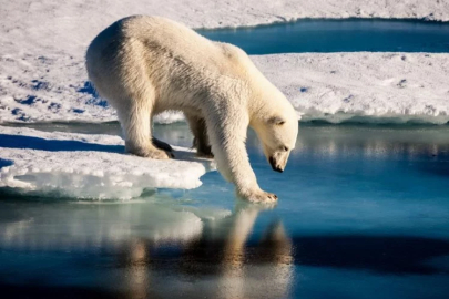 Küresel İklim Durumu Raporu dünyaya kırmızı alarm veriyor!