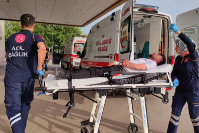 Arıların soktuğu genç ölümden döndü