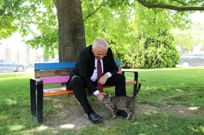 Başkan Şadi Özdemir: Can dostlara sahip çıkacağız