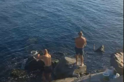 Denize yüzmeye giden vatandaşlar yunus balığını görünce şaşırdı