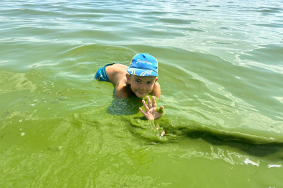Çıldır Gölü yeşil renge büründü